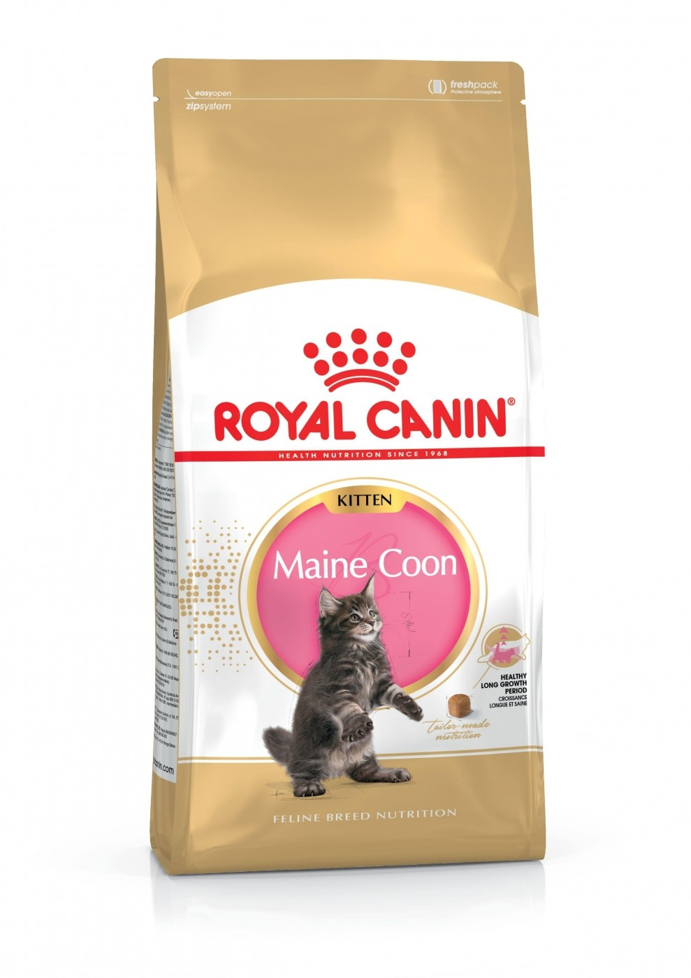 Royal Canin Breed Maine Coon Kitten Ração seca para gatinho