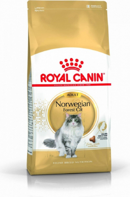 Royal Canin Breed Norwegian pour Chat Adulte