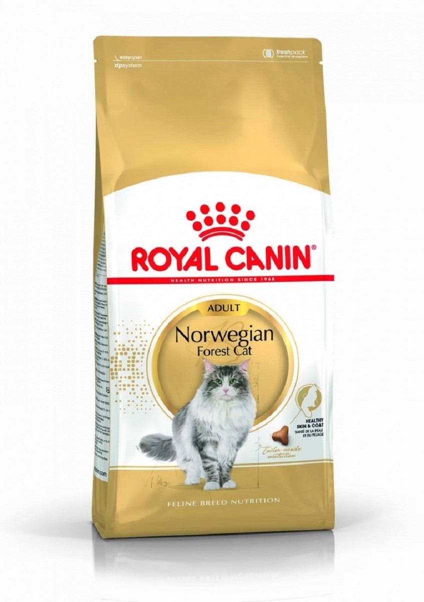 Royal Canin Breed Norwegian Adult für Katzen