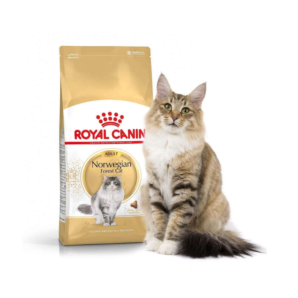 Royal Canin Breed Norwegian Adult für Katzen