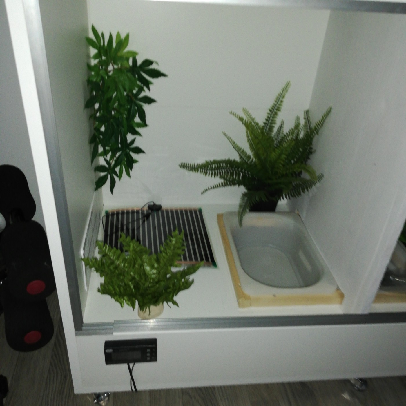 TropicShop Tapis chauffant ultra plat pour terrarium avec câble  d'alimentation de 150 cm et prise UE 230 V 45 W 80 x 28 cm : :  Animalerie