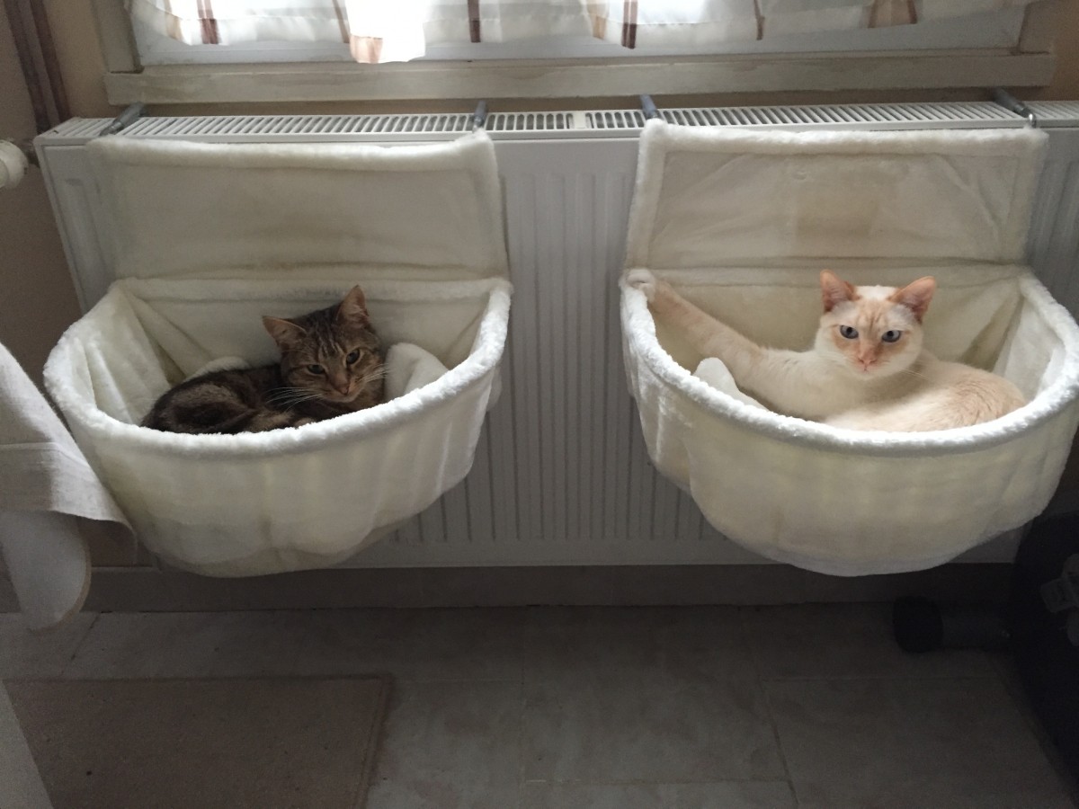 Avis Sur Hamac De Radiateur En Peluche Pour Chat