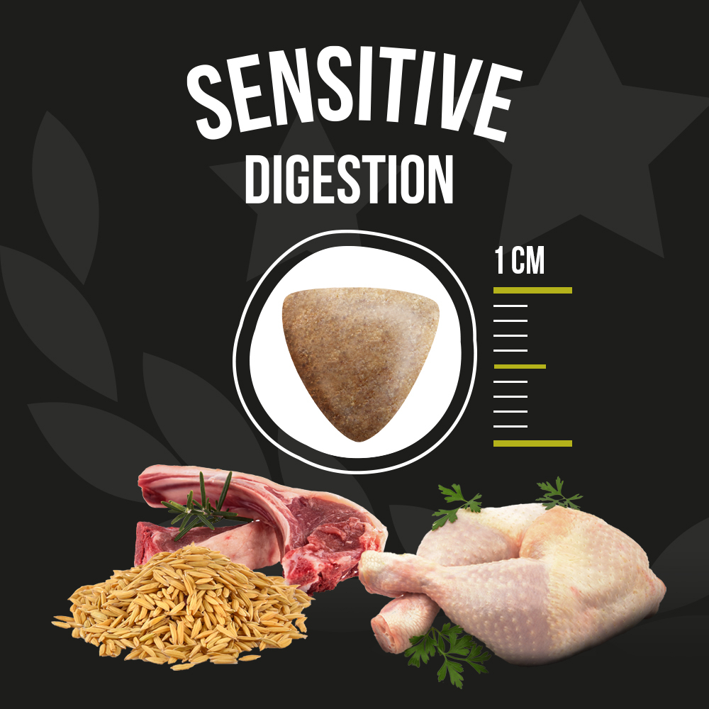 OPTIMUS Sensitive Digestion Lamb and Rice