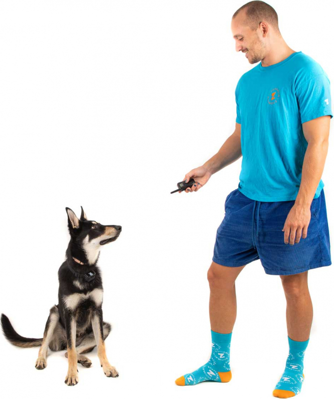 Coleira de treino e obediência para cão com vibração ou estimulação ZOLIA DOGTRAINING 200