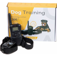 Training en sport voor honden