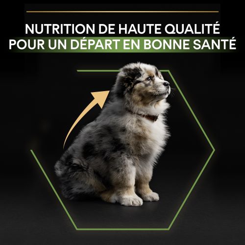 PRO PLAN Medium Puppy Healthy Start Riche en Poulet - 12 KG - Croquettes  pour chiots de taille moyenne : : Sports et Loisirs