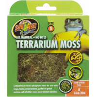 Premium terrario Muschio base inferiore per rettili in terrari (1  posizione) Terra substrato untergrund decorazione muschio Tappetini piastre  spugnosa Muschio vera natura Moss : : Prodotti per animali  domestici