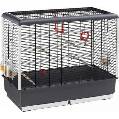 Cage Oiseau De 80 Modèles Dès 3999