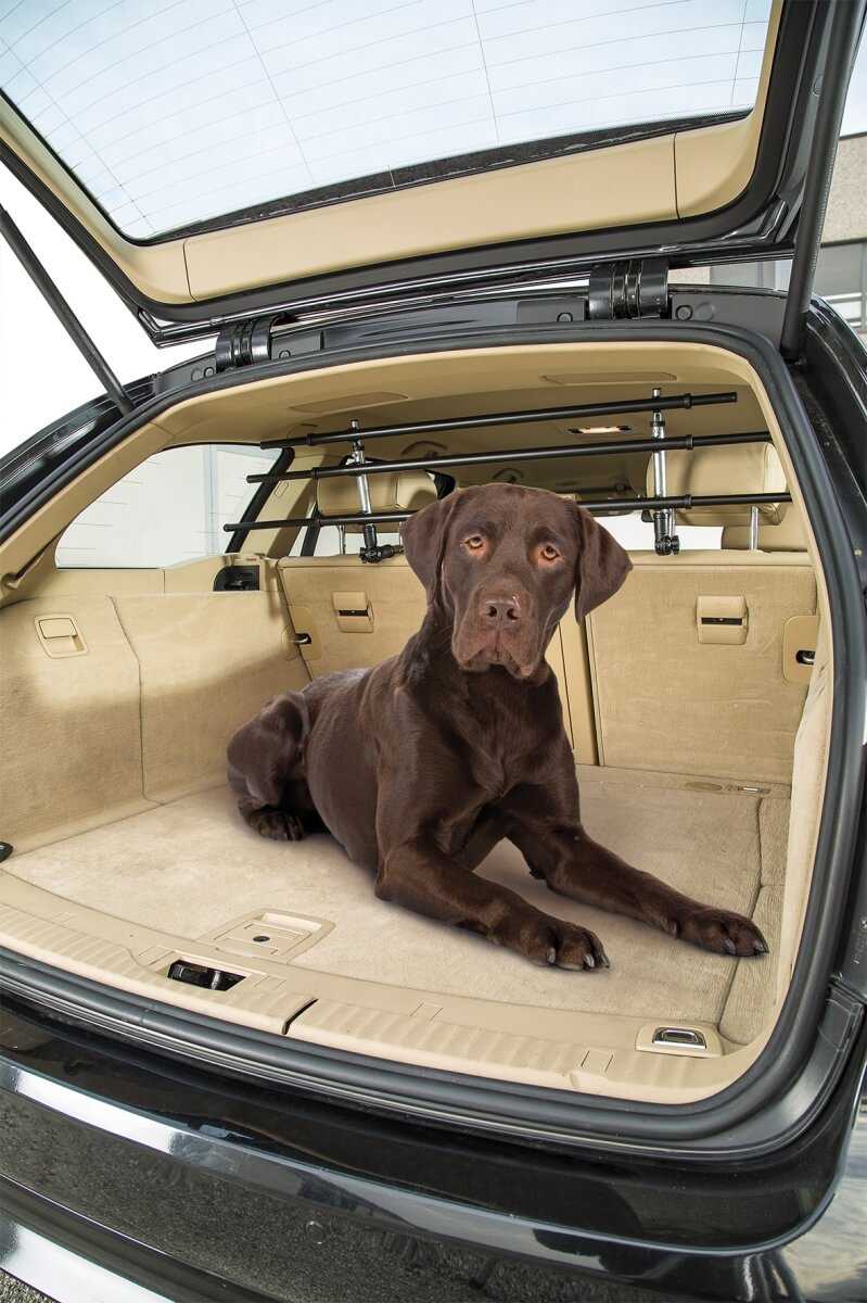 Griglia di sicurezza per cane Dog Car Security