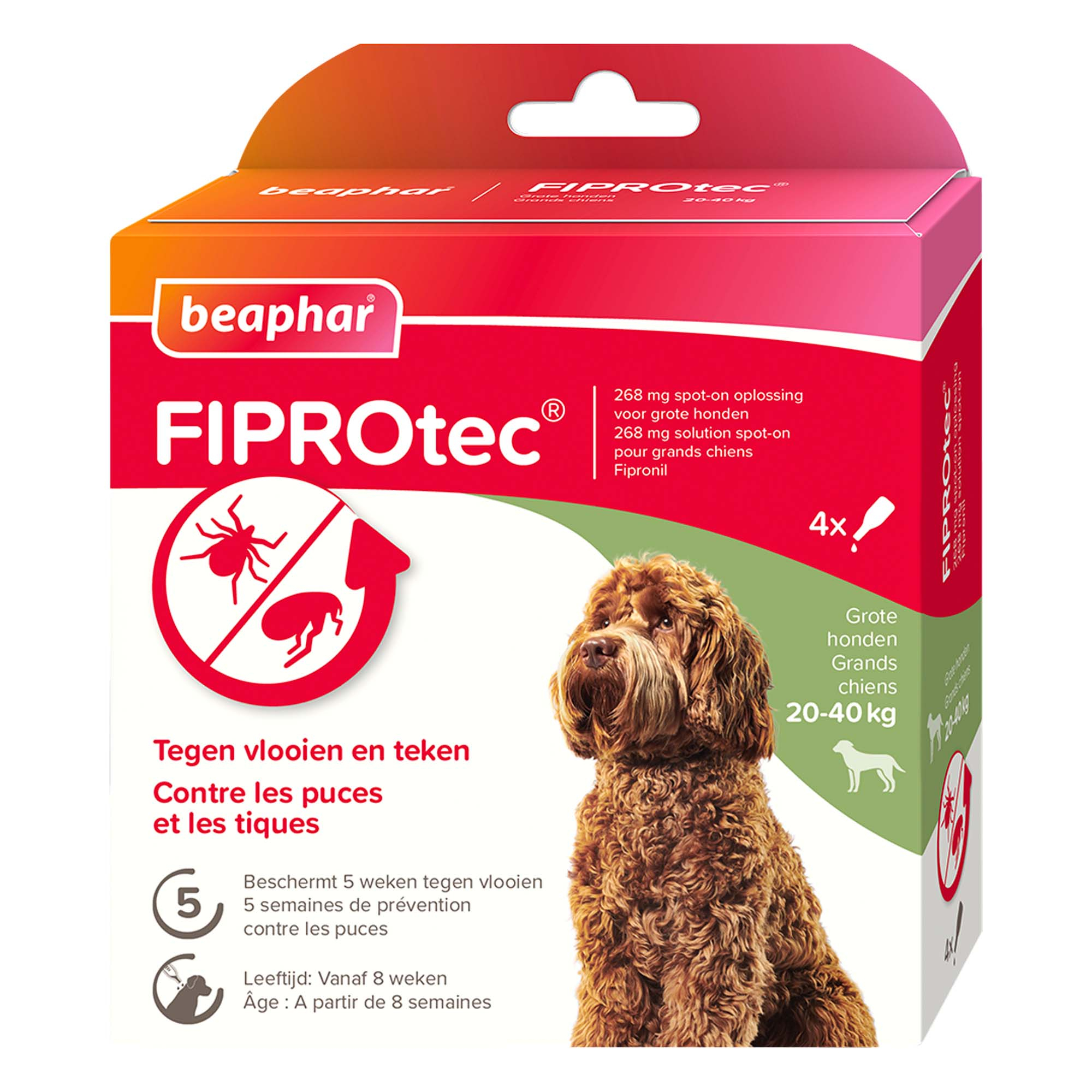 FIPROtec solução tratamento antiparasitário para cães Beaphar