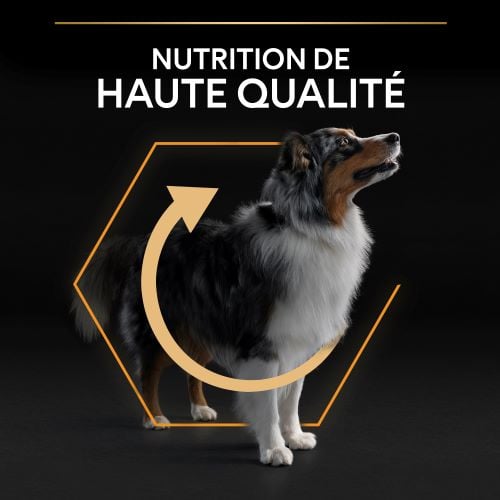 nutrition proplan pour chien