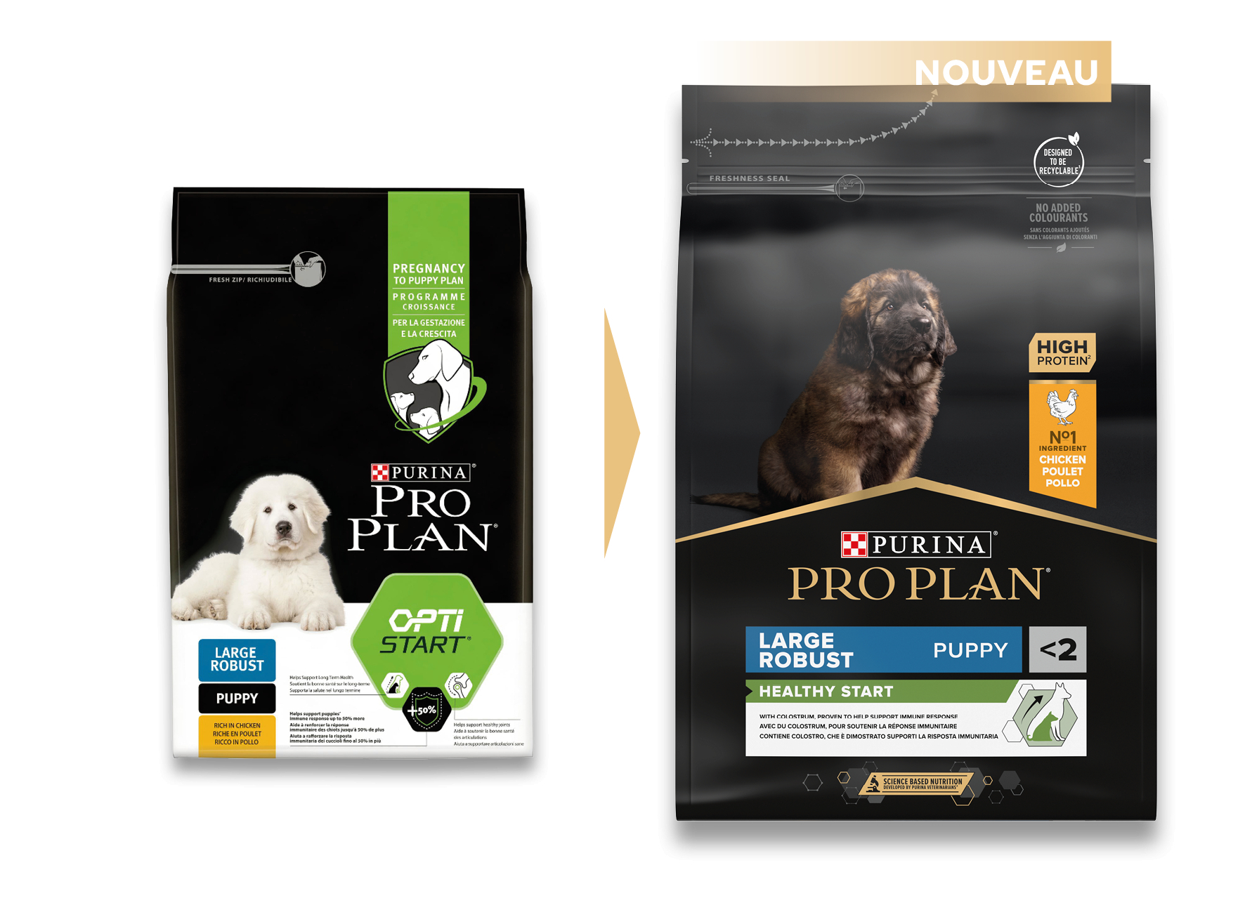 PRO PLAN Large Robust Puppy con pollo
