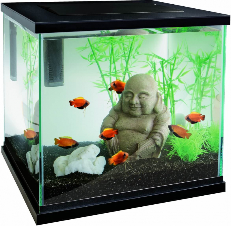Aquarium zen 30 Superfish - blanc ou noir