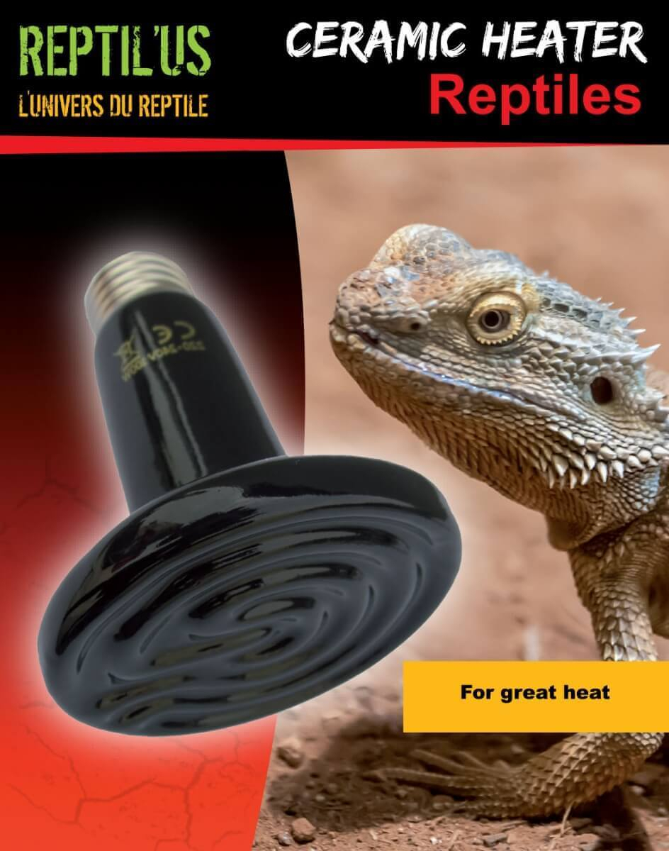 Ampoule chauffante en céramique Reptilus