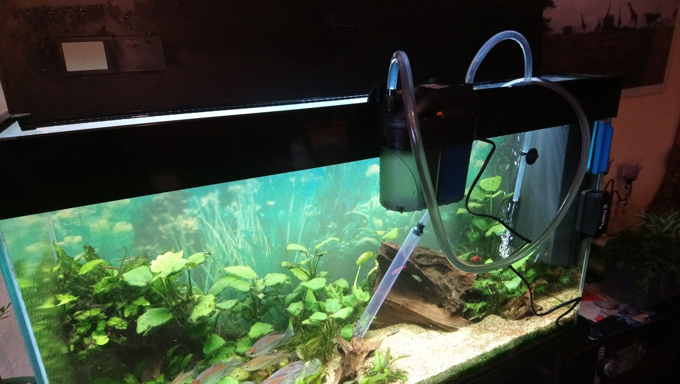 EDEN 501 Gravel Cleaner - Aspirateur de fond pour aquarium