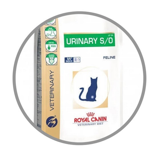 Chemicus Quagga scheiden Royal Canin Veterinary Diet Urinary S/O LP34
