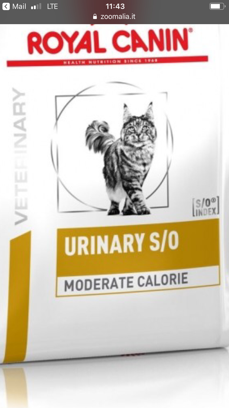 Royal Canin Urinary S/O Moderate Calorie UMC 34 Nourriture pour Chat 3,5 kg  : : Animalerie