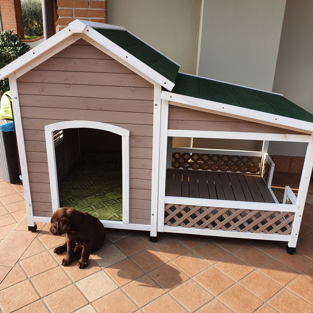Prueba vamos a hacerlo Susteen Caseta de madera con terraza para perros ZOLIA FALCO