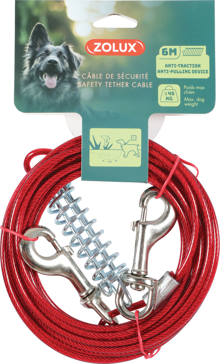 Câble d'attache pour chien ou chat avec ressort anti-choc