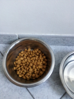 30709_Royal-Canin-Veterinary-Urinary-S-O-croquettes-pour-chien_de_francine_2885333776113667be61785.52962642