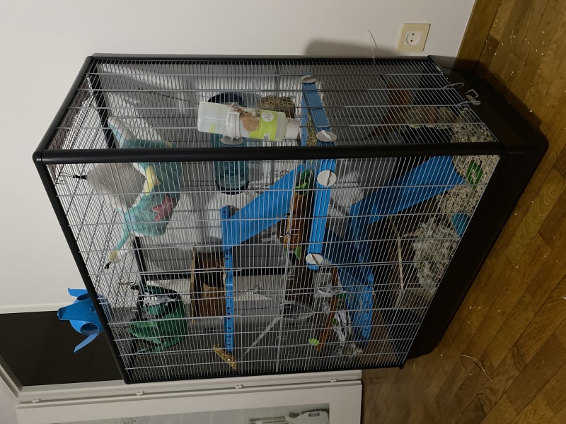 Cage chinchilla cage furet convient aux rats et souris cage rat