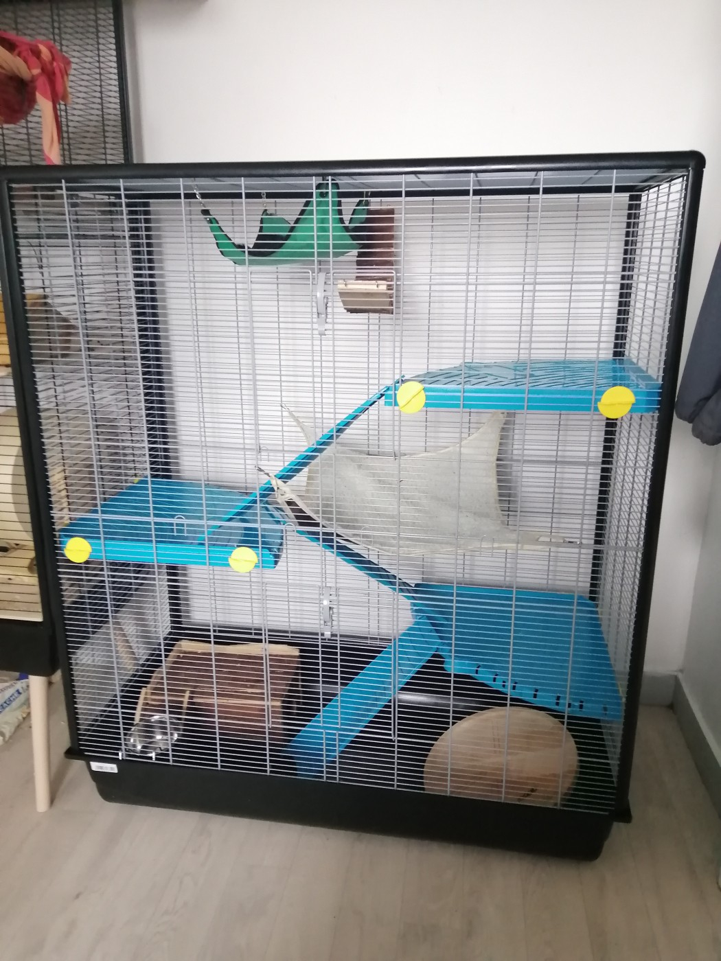 Cage Furet XL pour rat et furet : avis, test, prix - Conso Animo