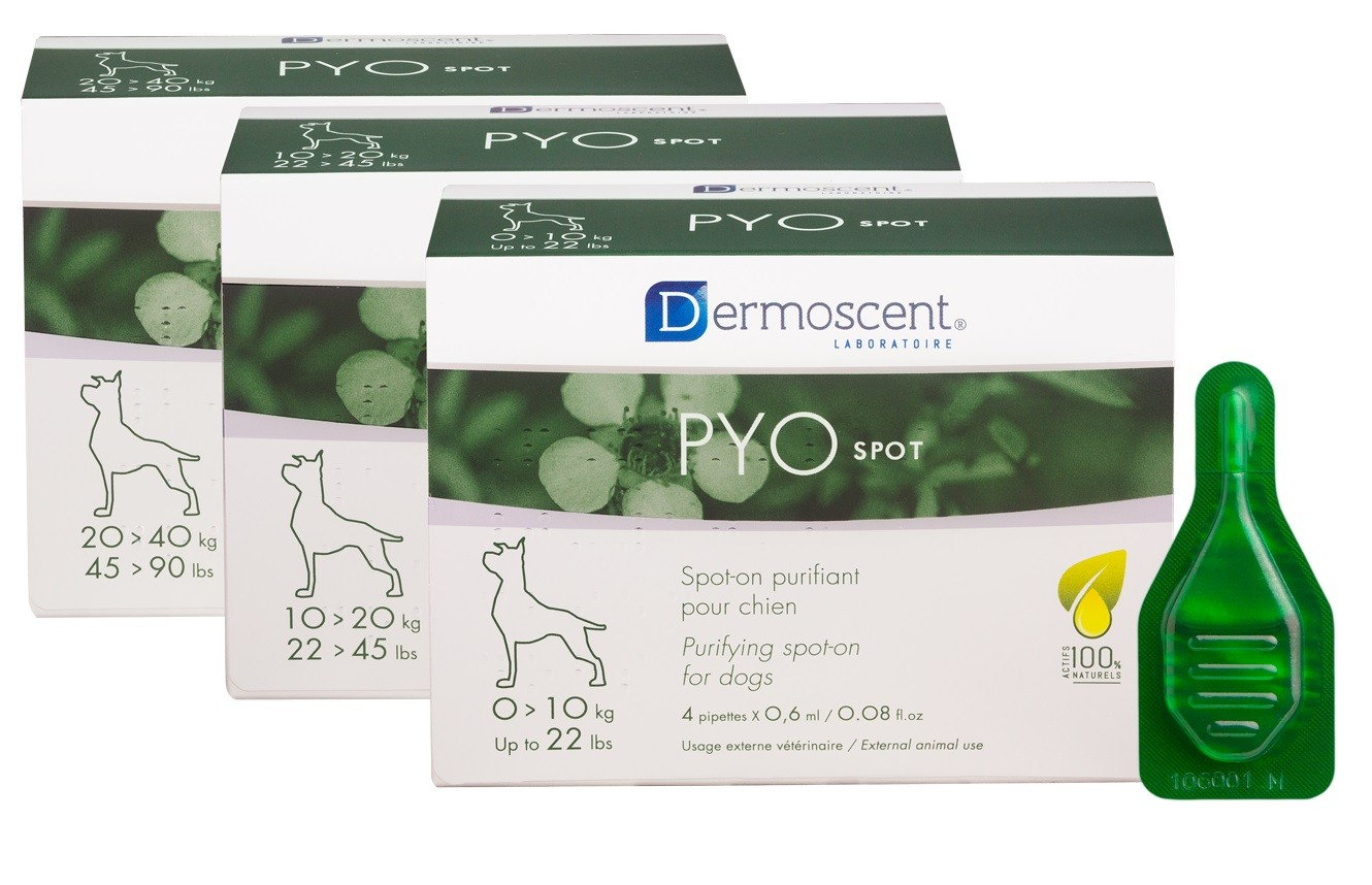 Dermoscent PYOspot Spot-on Reiniger für Hunde