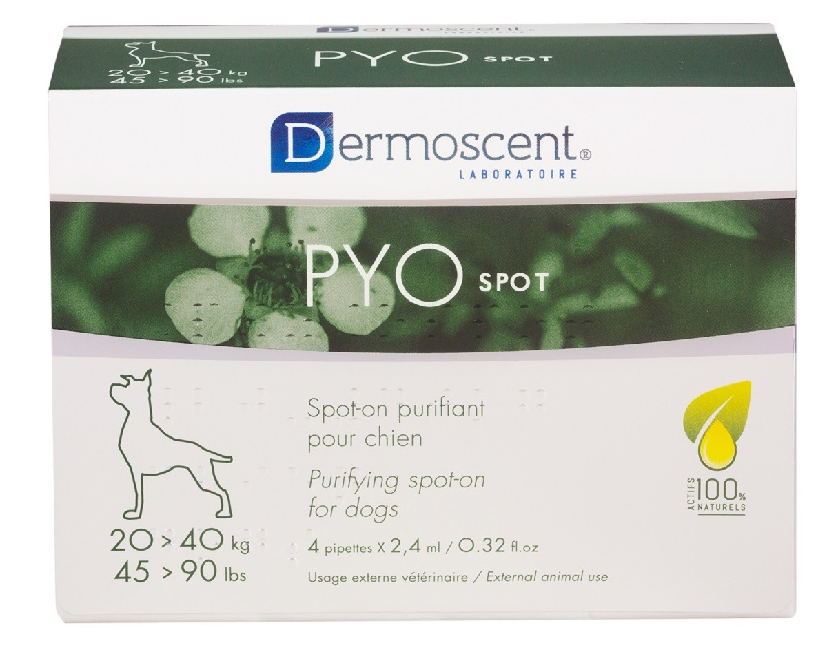 Dermoscent PYOspot Spot-on purifiant pour chien