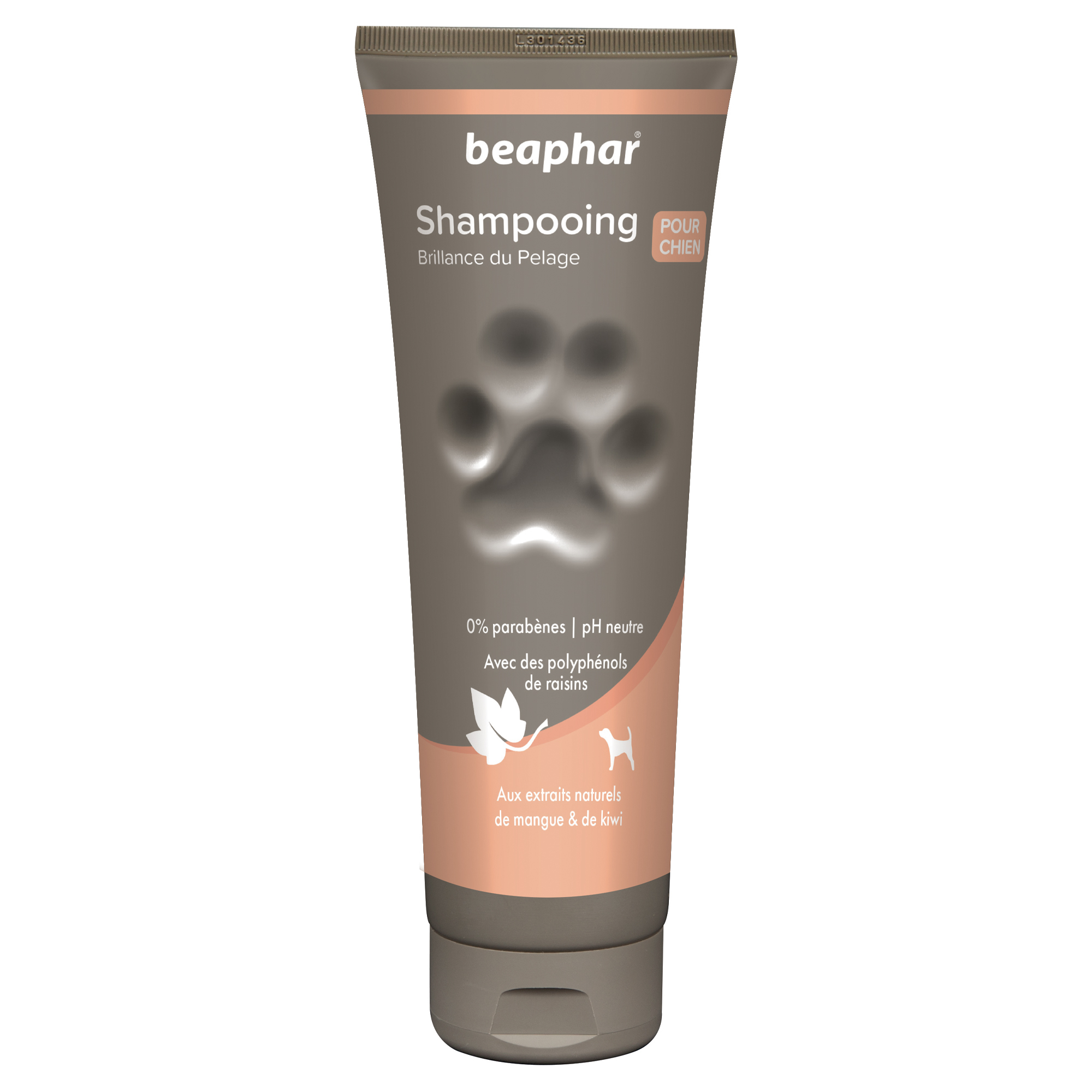Premium shampoo met mango- en kiwi-extracten