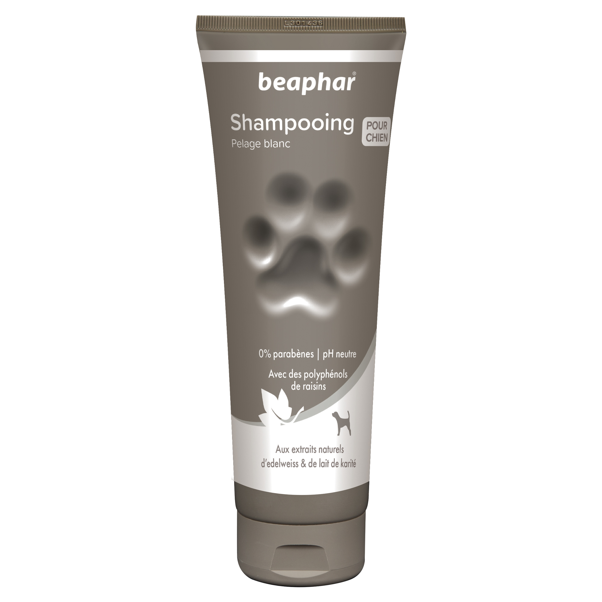 Shampoo premium pelo bianco con estratto di stella alpina e latte di karitè