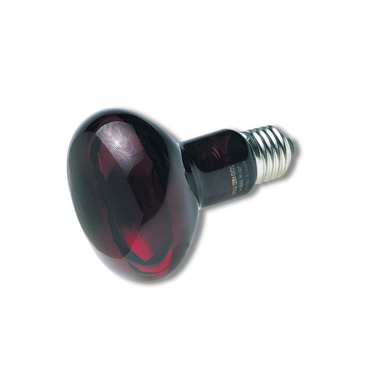 Lampe chauffante infrarouge nocturne Zoomed