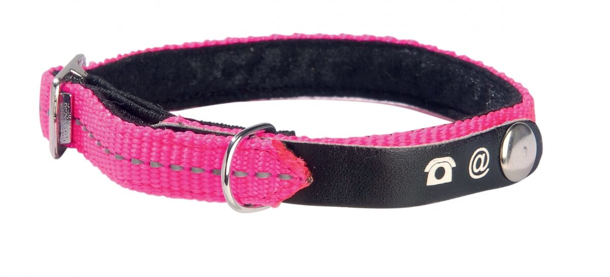 Collier Chat porte adresse Lost Rose Fluo