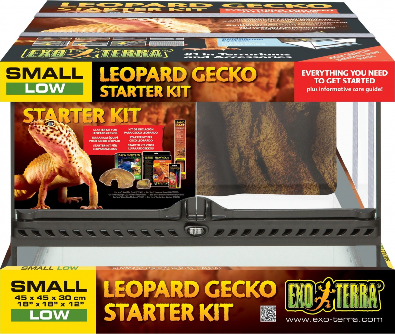 In de meeste gevallen thema Ventileren Starter Kit terrarium compleet voor (luipaard)gekko