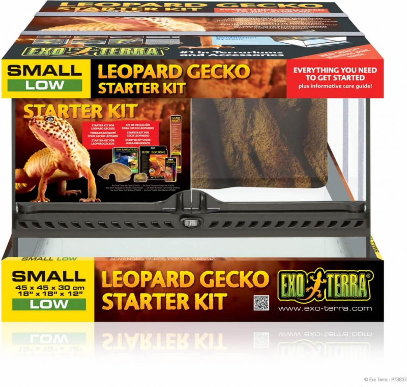Kit débutant complet terrarium pour Gecko Léopard Exo Terra Starter Kit