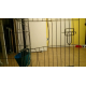 Cage-de-transport-pour-chien-ZOLIA-XENA-avec-fond-en-metal_de_JUSTINE_1962188605bb1212ca772a7.28920341