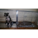 Cage-de-transport-pour-chien-ZOLIA-XENA-avec-fond-en-metal_de_Jonathan_6382522945a9feffe1602c7.03650195