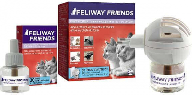 Feliway Friends Für ein besseres Zusammenleben von Katzen