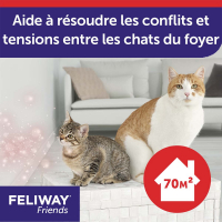 Feliway Friends Diffuseur Réduit les Tensions entre Chats 30 Jours