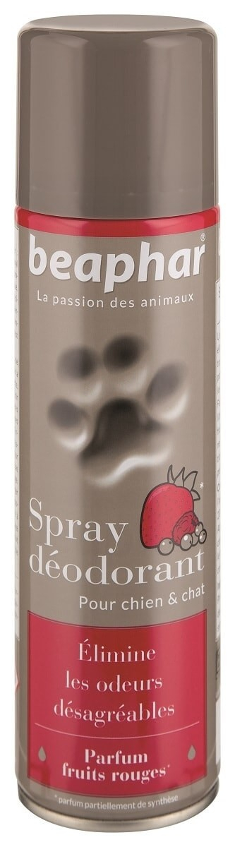 Spray déodorant, parfum fruits rouges