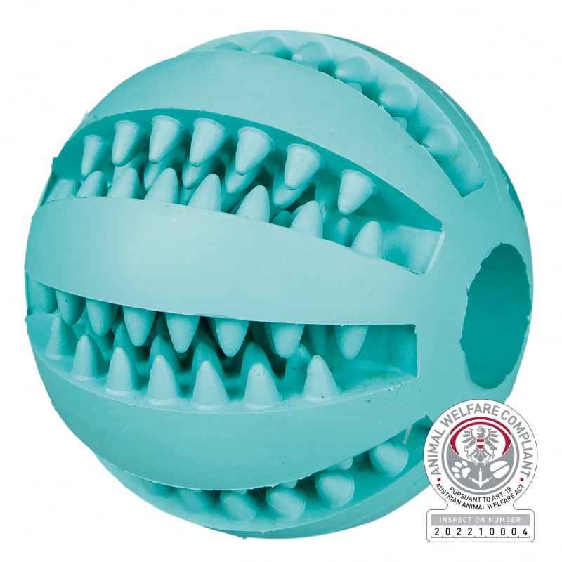 Denta Fun Mintgeschmack Ball für Hunde