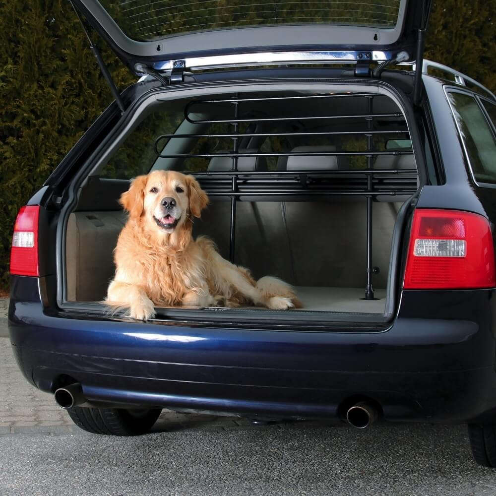 Protections de voiture pour chiens : catégories et usage - Ornikar