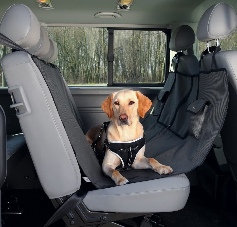 Coussin de protection pour siège arrière de voiture pour chien noir
