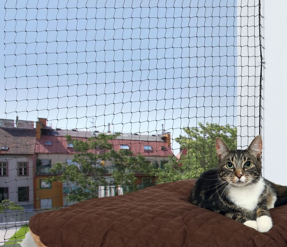 Gateras y redes - La Casa del Gato