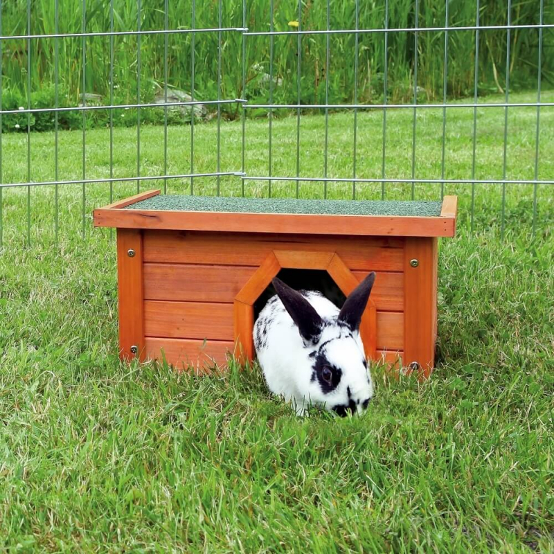 Natura abri extérieur petits animaux en bois naturel