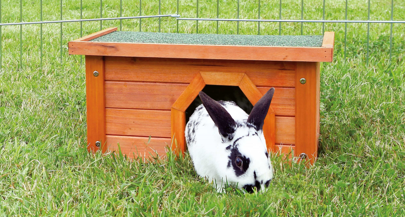 Clapier DIY : tutoriel pour fabriquer une cabane à lapin - Marie Claire