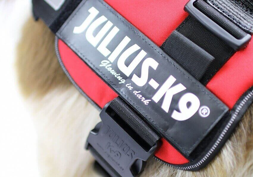 JULIUS K9 Arnês para cão K9-Power Vermelho