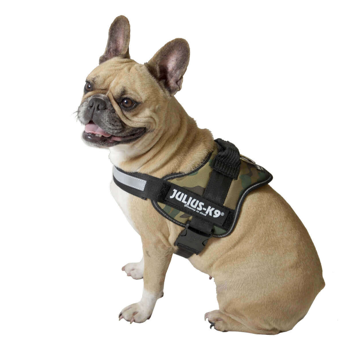 Harnais militaire en tissu pour chien, Julius K9, BisBis