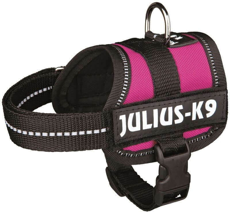 Alle Julius k9 pink zusammengefasst