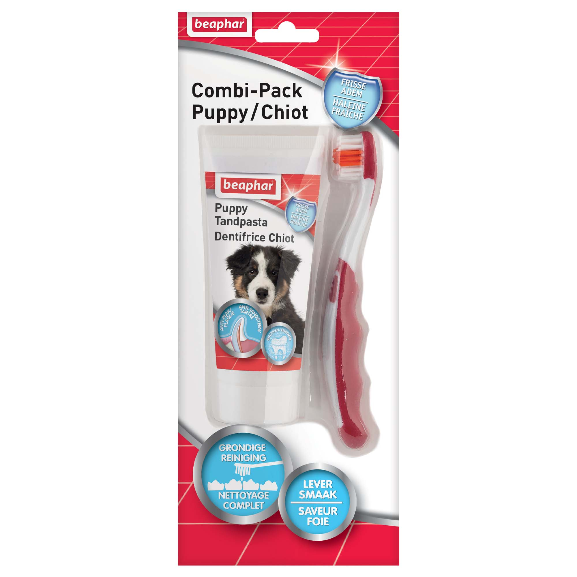 Combi pack: dentifrico + escova de dentes para cães e gatos