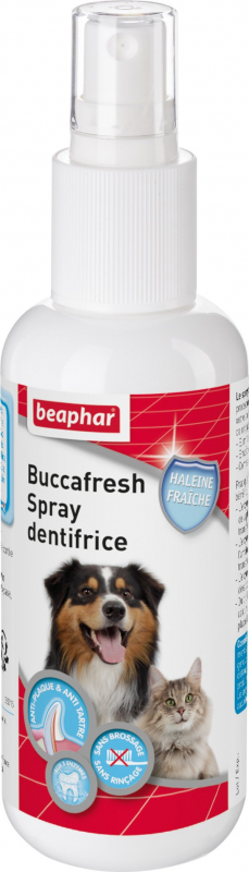 Buccafresh, spray dentifrice 